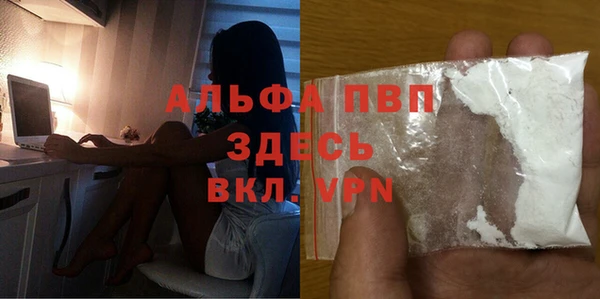 шишки Медногорск