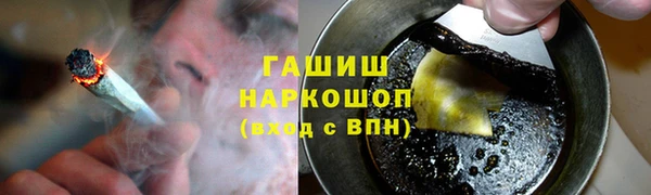 шишки Гусиноозёрск