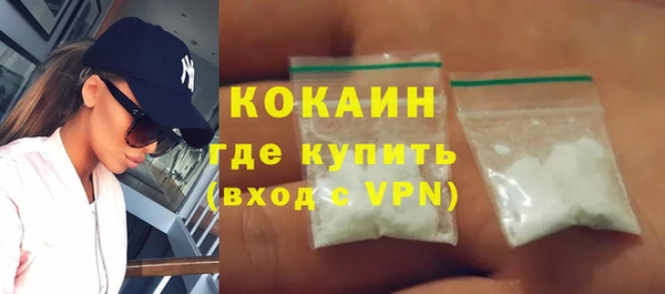 шишки Медногорск