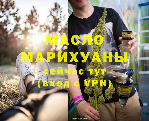 шишки Медногорск