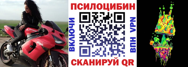 Псилоцибиновые грибы прущие грибы  Дмитровск 